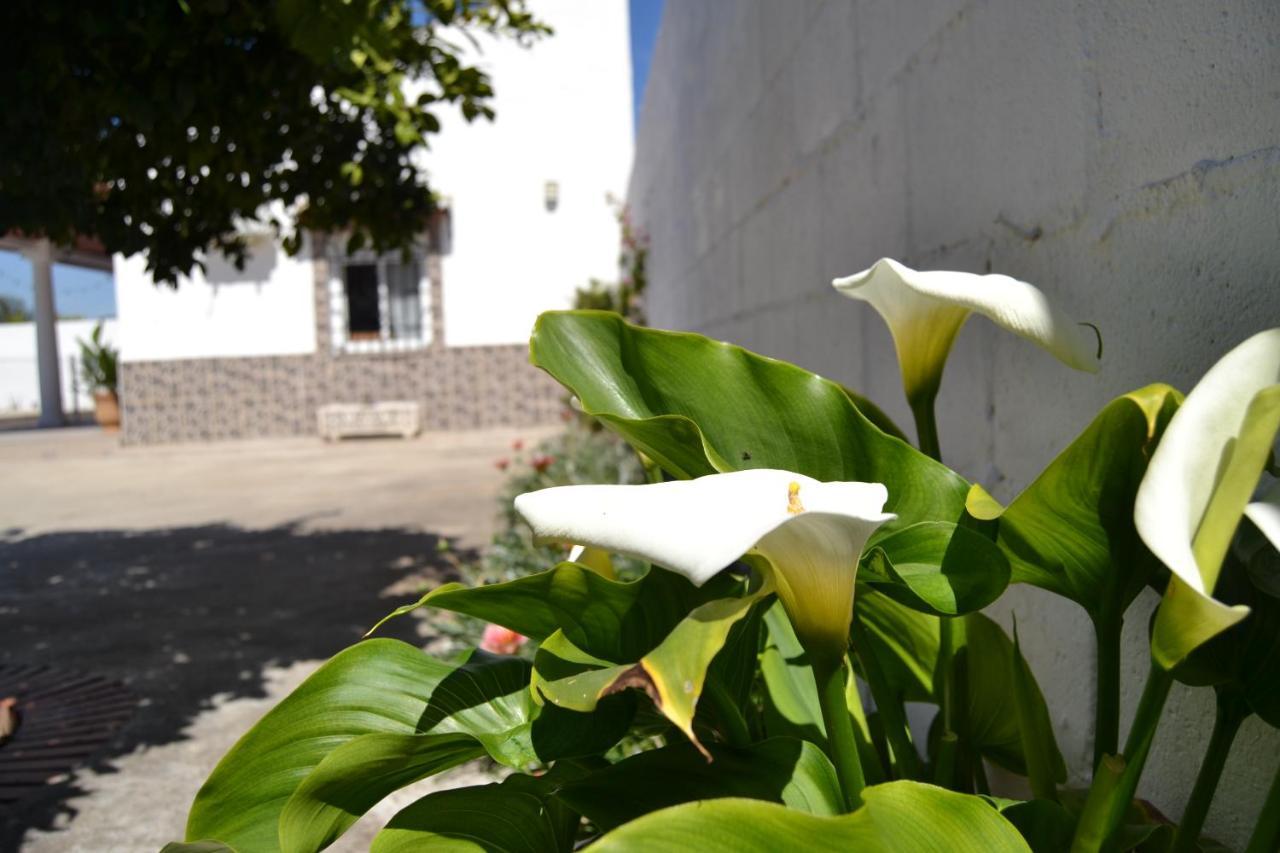 La Orquidea De Cordobaヴィラ エクステリア 写真